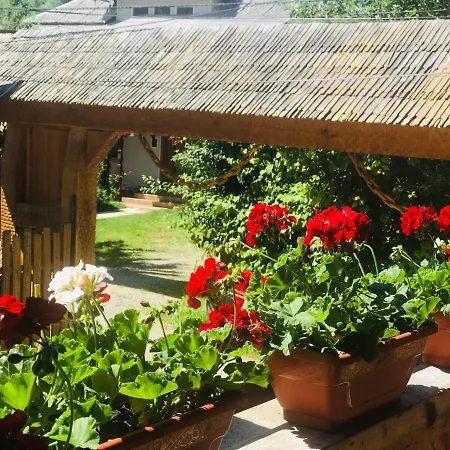 La Domnita Nu Avem Locuri Pentru Sarbatori