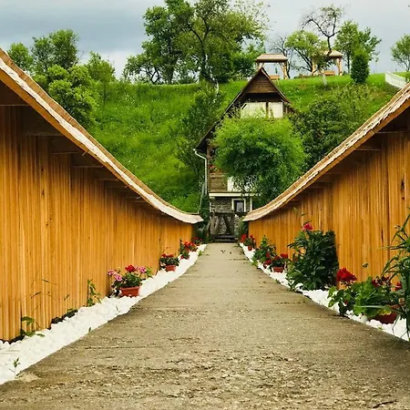La Domnita Nu Avem Locuri Pentru Sarbatori