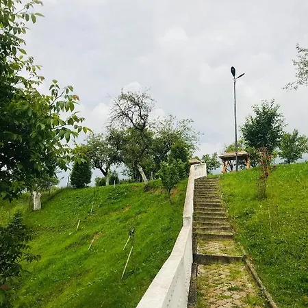 La Domnita Nu Avem Locuri Pentru Sarbatori Poienile Izei