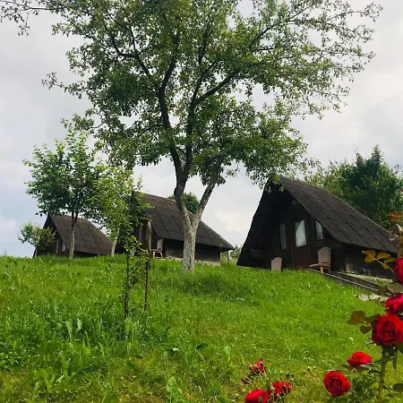 La Domnita Nu Avem Locuri Pentru Sarbatori * Poienile Izei