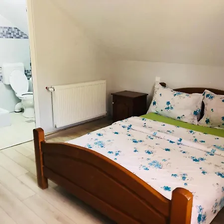 La Domnita Nu Avem Locuri Pentru Sarbatori Affittacamere Poienile Izei